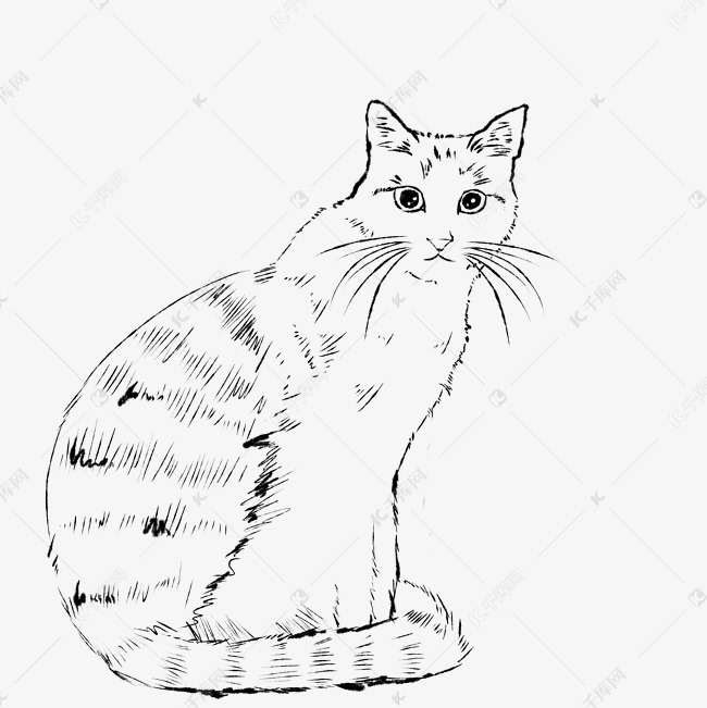 手机软件画小猫咪教程图片_画猫咪教程视频_小猫咪咋画