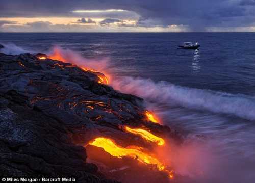 wow火山石幼龙_火山龙兽_wow火山石幼龙成就攻略