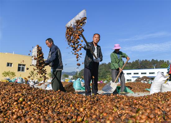 qq农场加工厂_农场厂子_农场加工坊加工什么最好