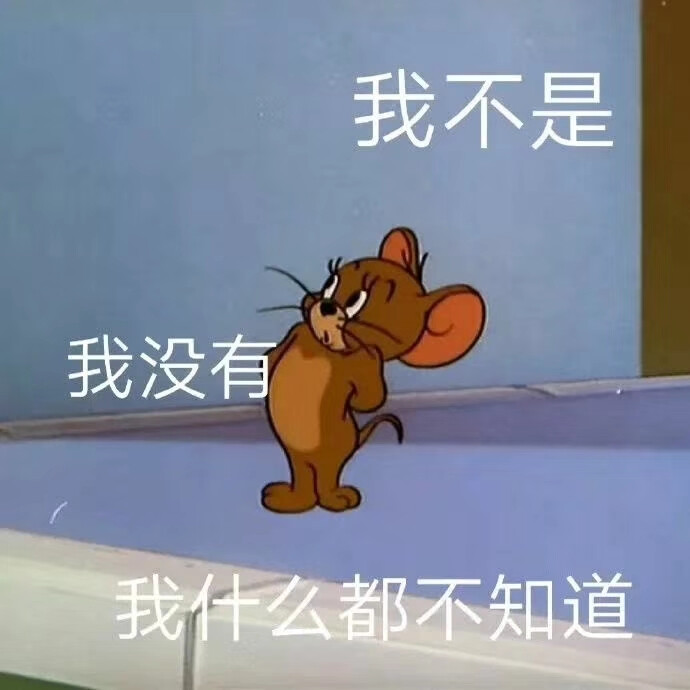 猫表情包的名字_起司猫表情_猫表情叫什么