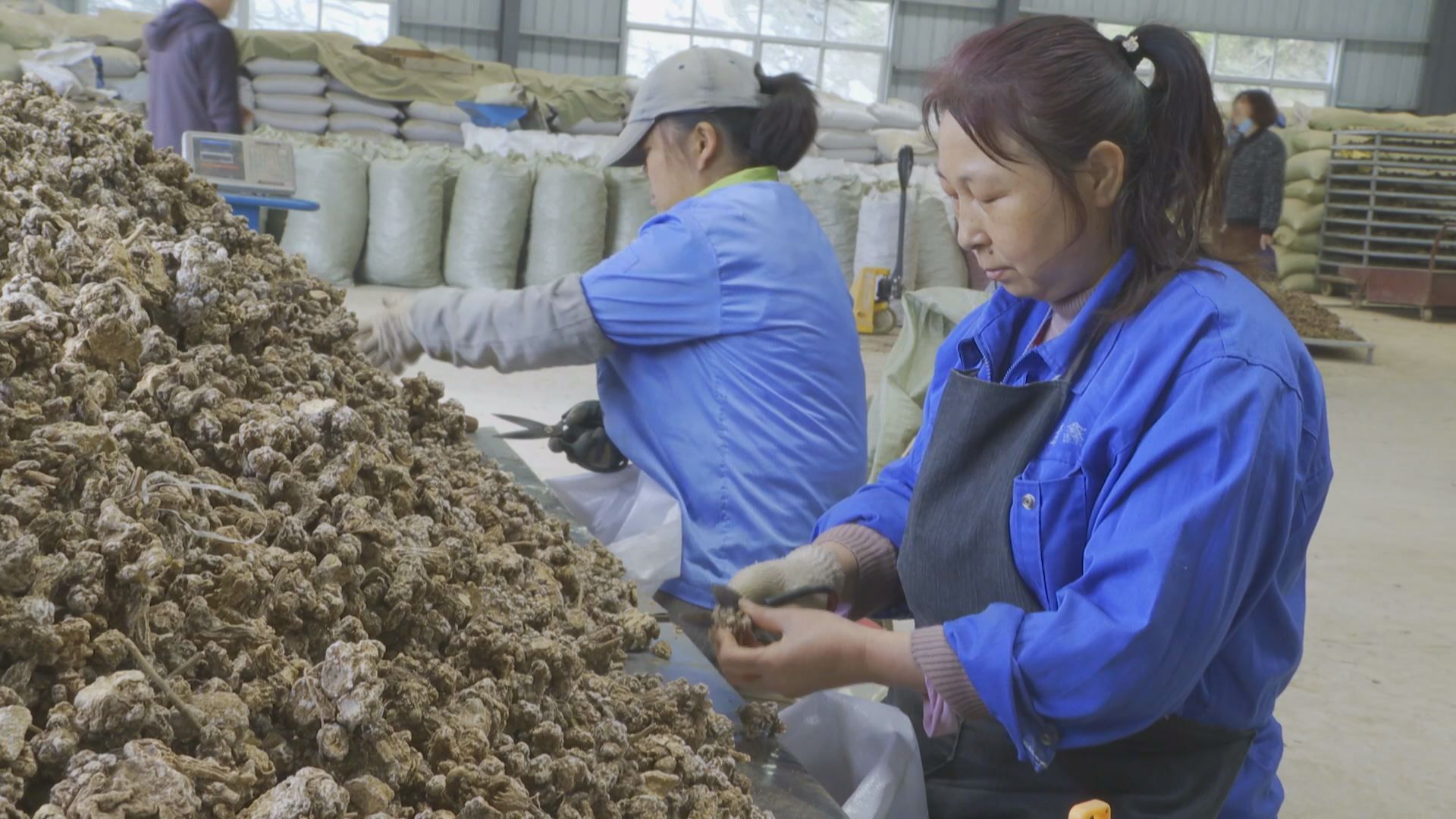 农场加工坊加工什么最好_农场厂子_qq农场加工厂