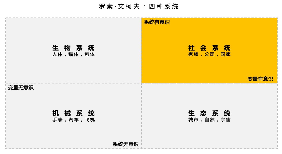 wow神谕者揭秘：预测未来、解读命运，超越科学常识