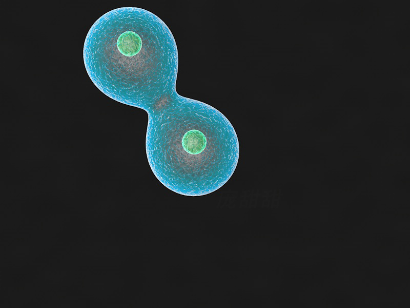 细胞分裂6联机_细胞分裂6联机_细胞分裂6联机