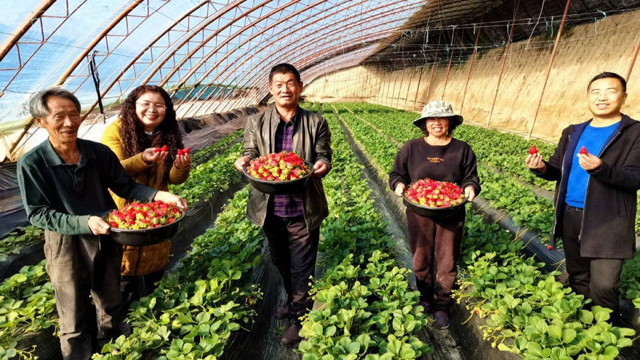 玩转qq偷菜软件：好友互助救急，种植时间成就大丰收