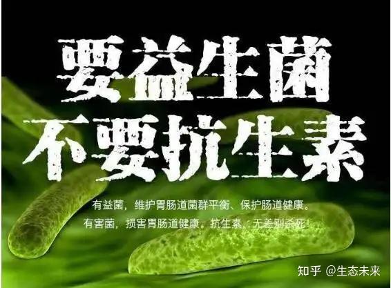 合并精灵游戏_合众精灵跟随mod_qq精灵三合一