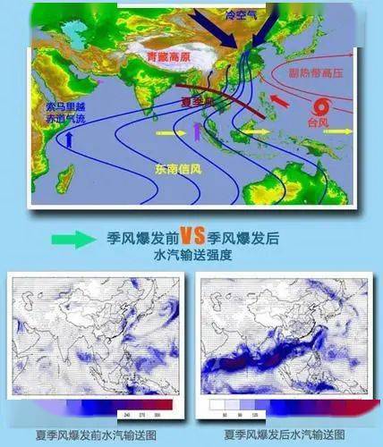 97风云再起_风云再起短剧免费全集_风云再起电玩城