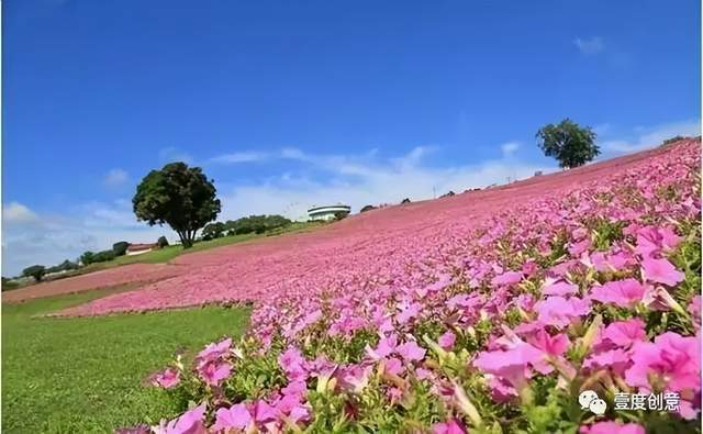 qq农场牧场餐厅偷匪_农场牧场偷匪下载_农场餐厅游戏