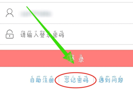 彩虹岛忘记密码_密码修改网站彩虹岛怎么改_彩虹岛修改密码网站