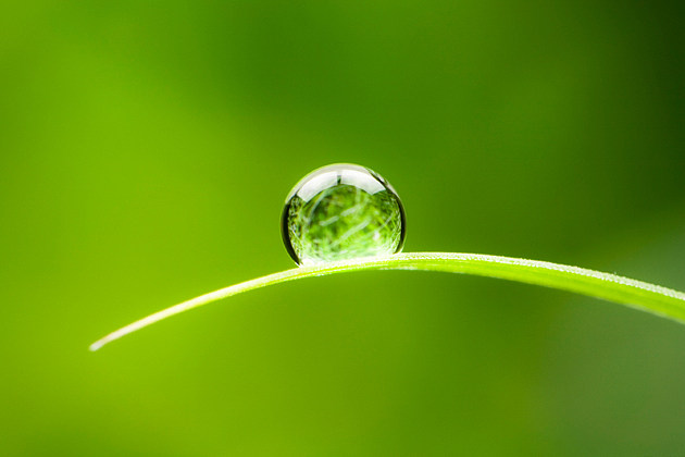 造梦西游避水阁在哪里_造梦西游3避水珠_西游记避水诀