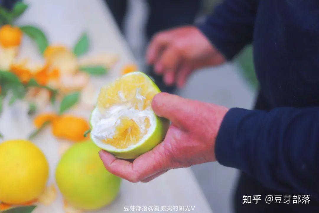 活捉豆芽_小豆芽在哪抓_小豆芽怎么抓