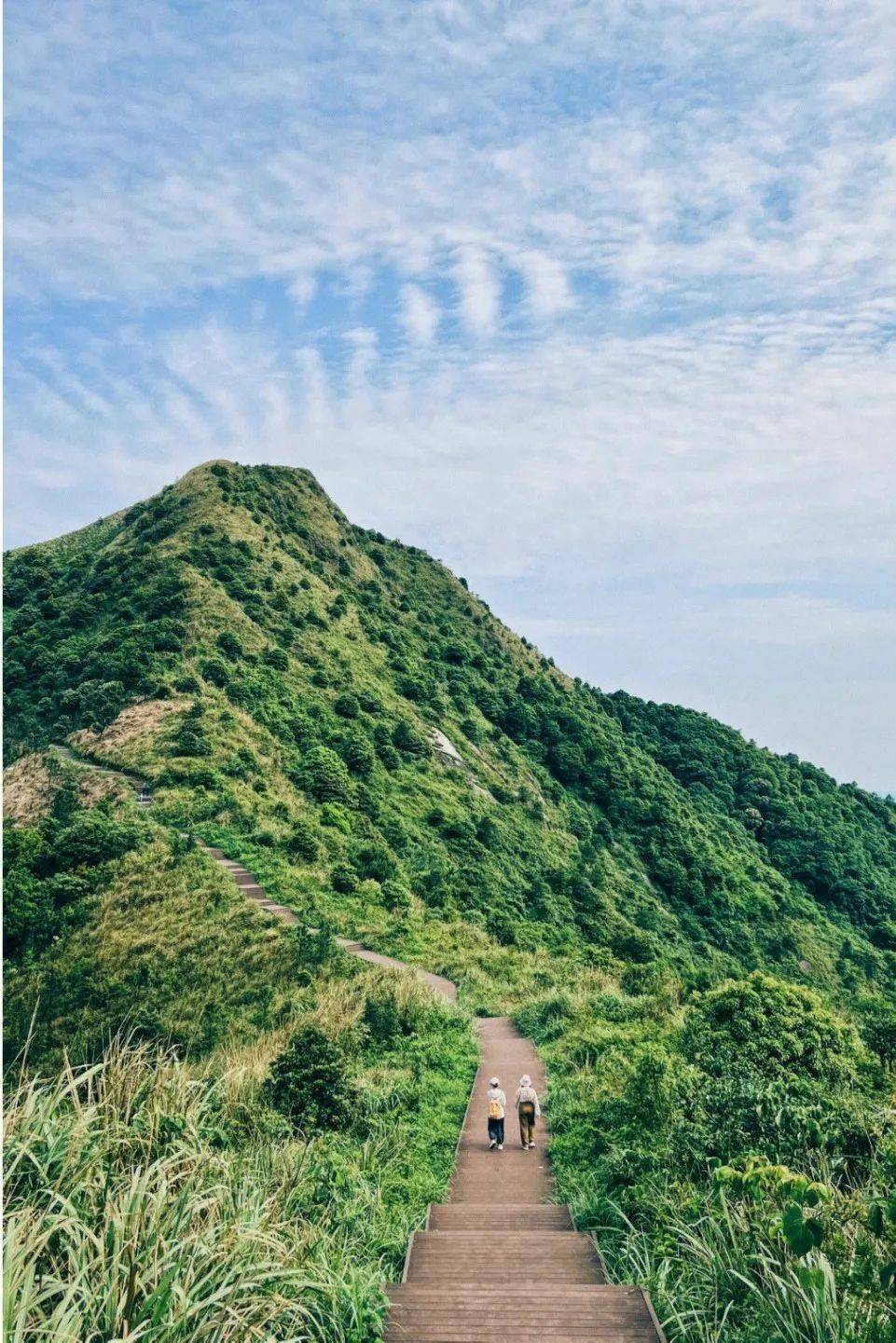 剑网三寇岛扶摇_剑网三寇岛扶摇_寇岛 扶摇