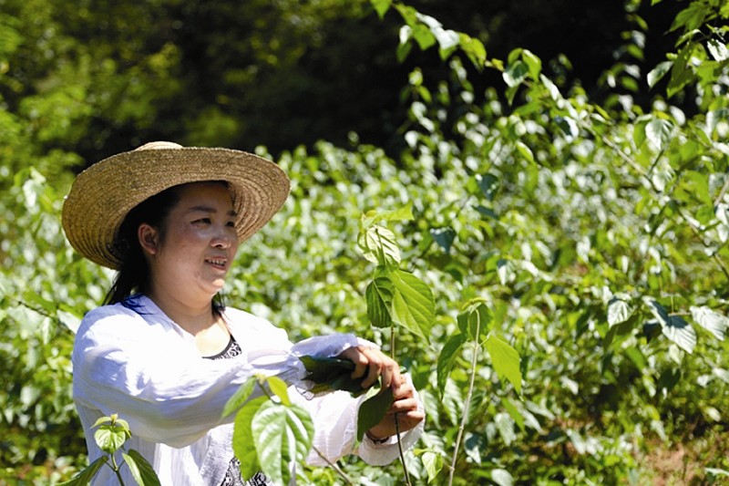 神仙预言成真！小村庄寻找大富贵，谁能脱颖而出？