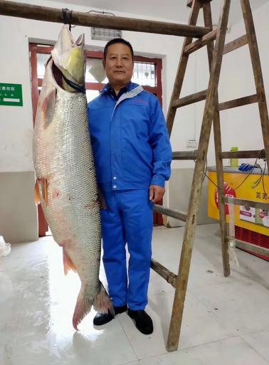 牧合家牛肉怎么样_大庆农/林/牧/渔企业名录_农牧餐三合一