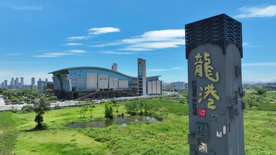 地雷战传奇日本演员表_上海传奇人物滨海三哥_上海10000人传奇