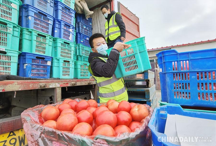 揭秘河北购物网：纷繁多样的热销单品，等你来抢