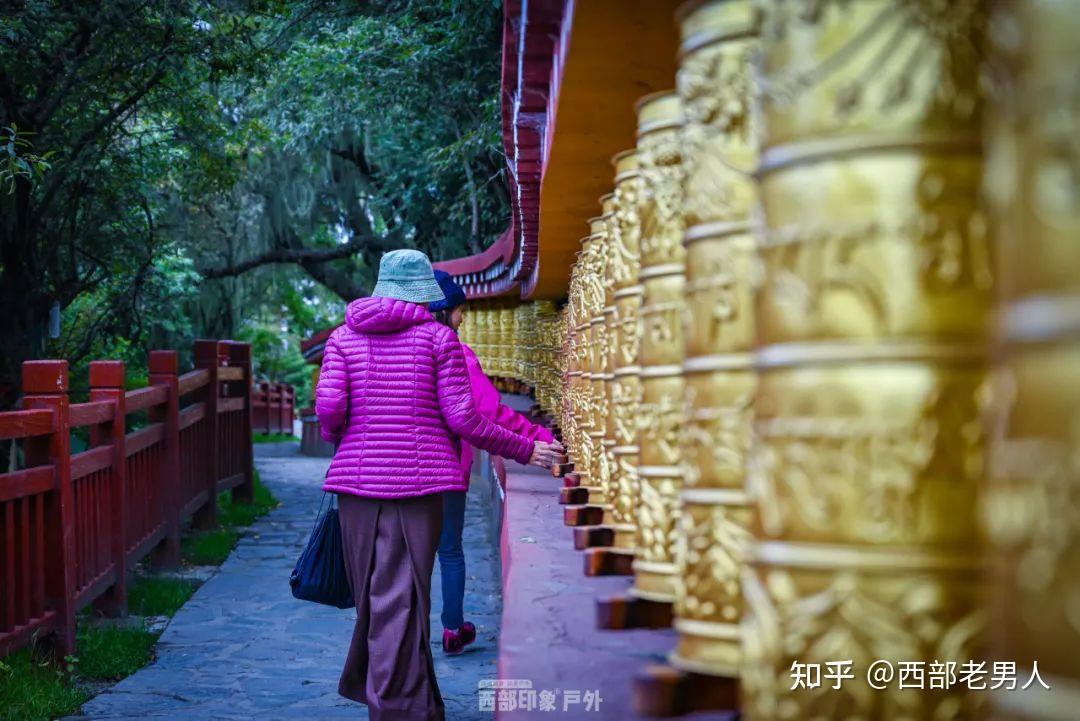 紫电神驹_紫电神驹和终极紫电神驹_紫电神驹梅皮肤