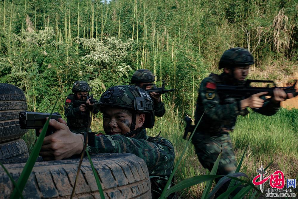 守卫家园什么武器好_qq家园守卫战攻略_守卫家园技能组合