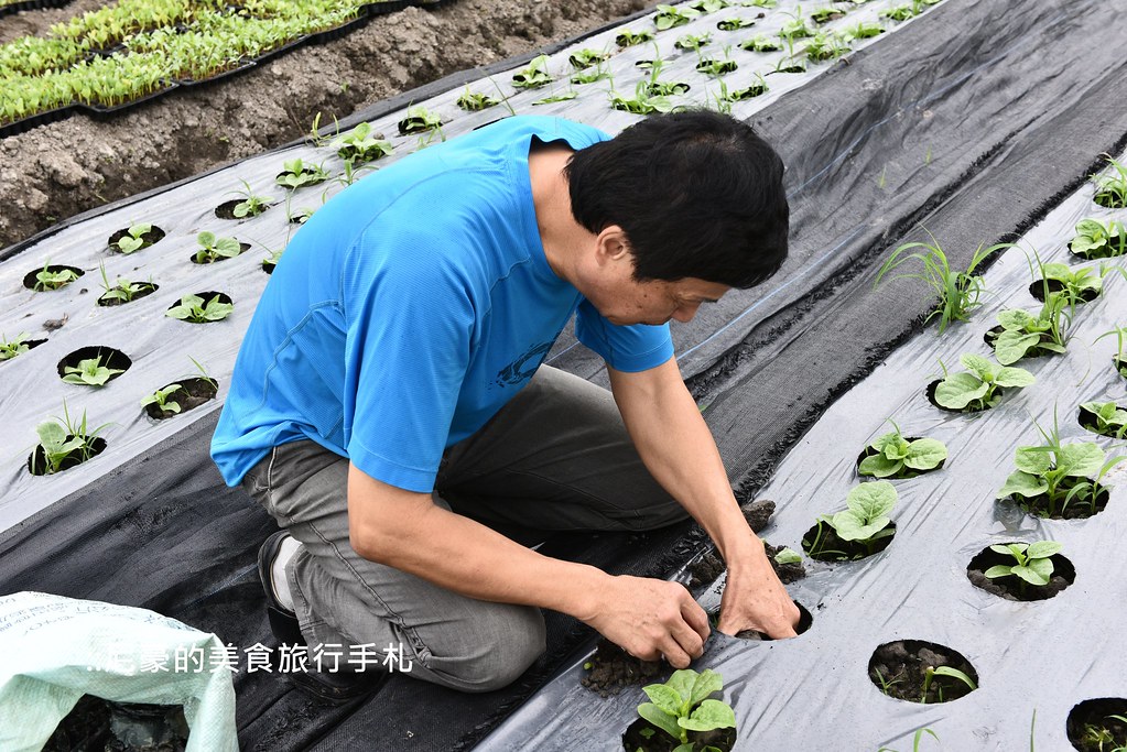 qq农场除草_农场除草教案_农场除草活动主题标语