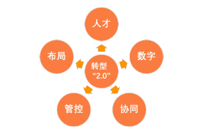 揭秘巴布工程师：挑战与创新的极限之旅