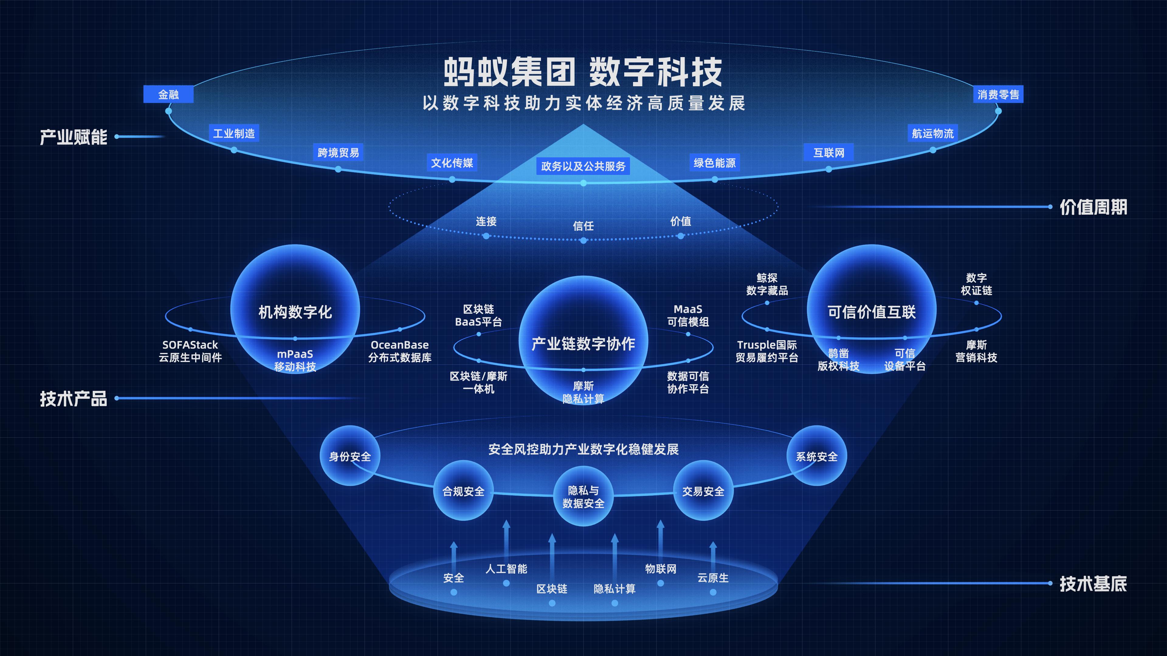 蚂蚁疯狂转圈怎么回事_蚂蚁疯狂跑_疯狂蚂蚁