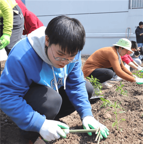 农场除草教案_农场除草活动主题标语_qq农场除草