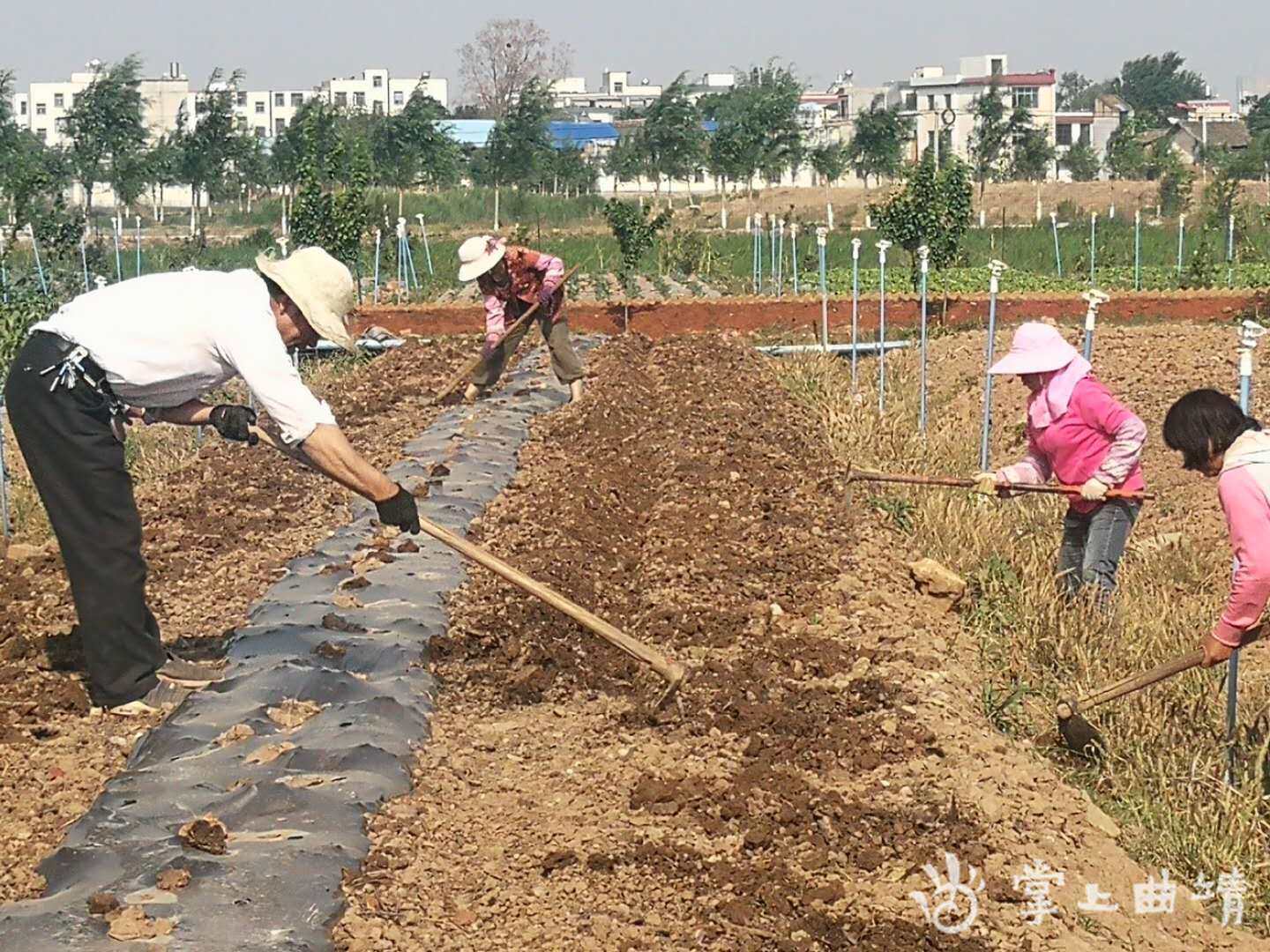 手机qq农场辅助工具_qq农场辅助工具_qq农场辅助工具下载