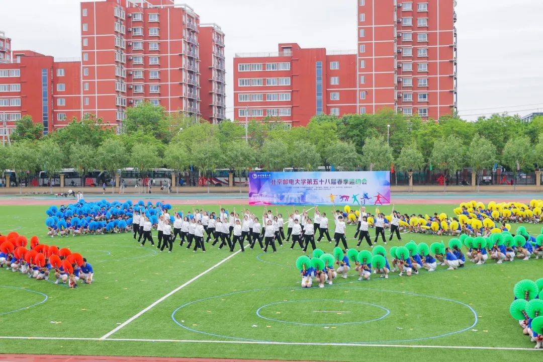 街头篮球挂机用什么软件_街头篮球挂机验证_街头篮球挂