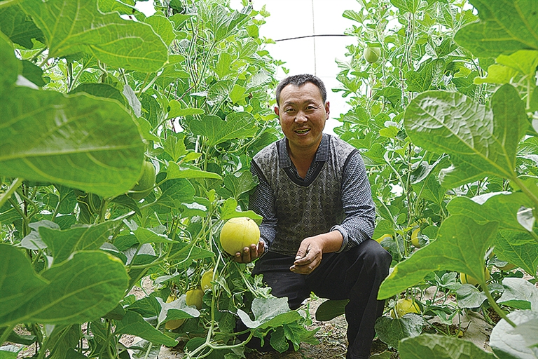 农牧助手安卓_畜牧助手_农牧助手