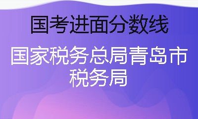 国税局：税收守护者