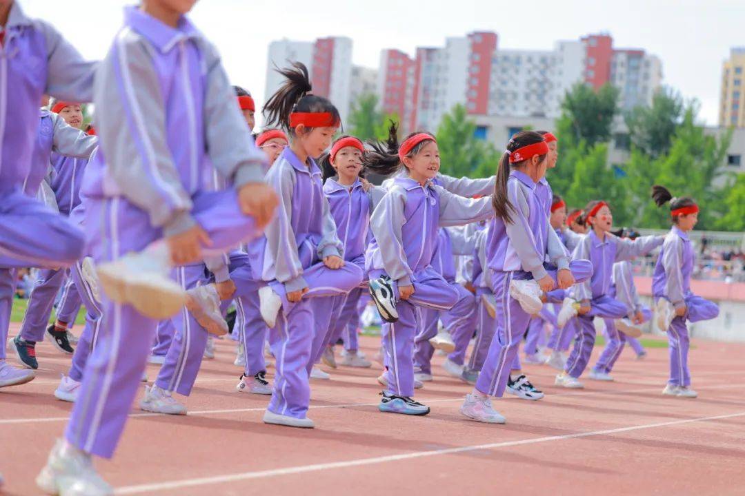 赛尔号2学习力_赛尔号2学习力_赛尔号2学习力