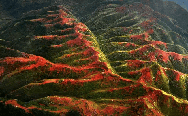 西部矿山0.59_西部矿区_西部矿山