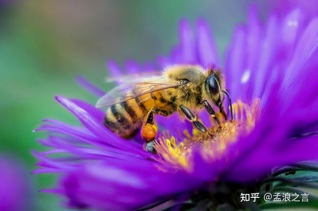 电子超人_超人电子锁怎么改密码_超人电子锁