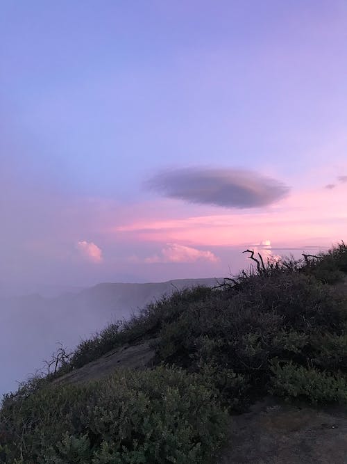 探秘仙竹林之旅：神秘梦幻之地引发无尽好奇与探索欲