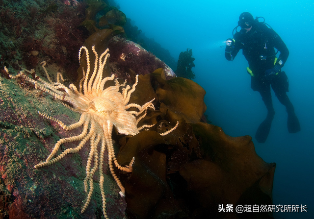 海底世界手机游戏_《海底世界》游戏_海底世界小游戏