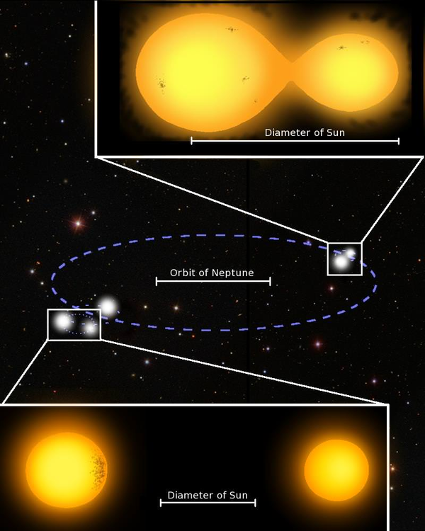 双子星红酒_星红双子_双子星红手指