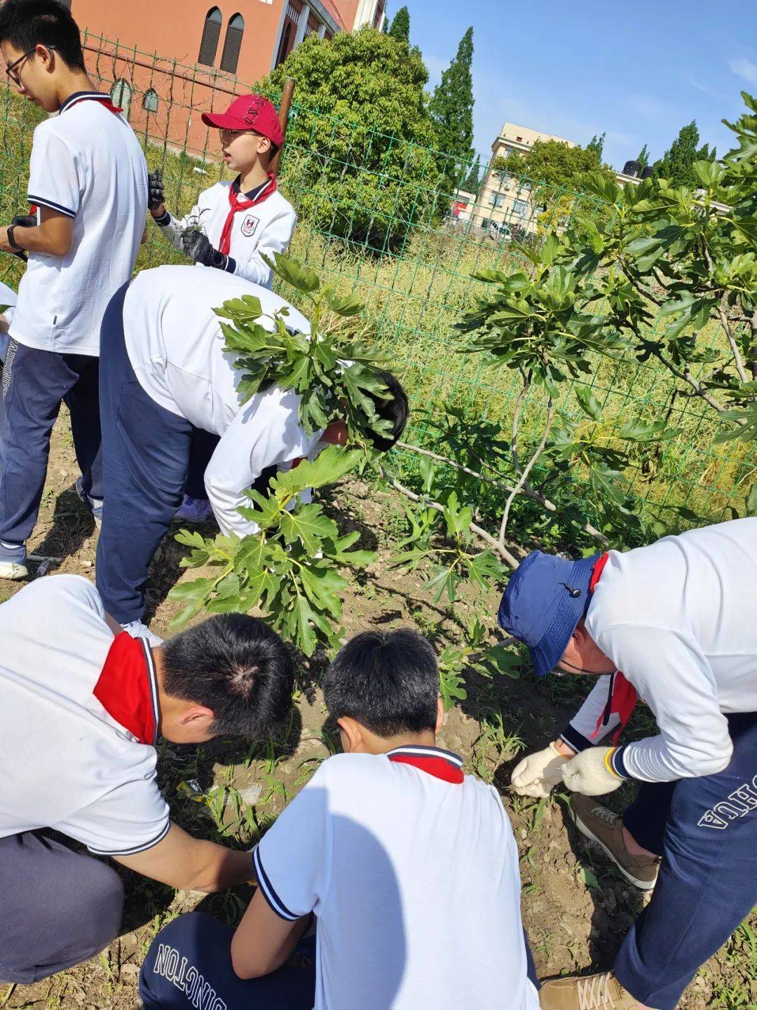 qq飞车巨龙的山谷_qq飞车全29铁甲巨龙_qq飞车钢铁巨龙