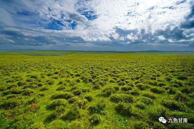 揭秘紫罗兰大陆：壮丽景色与未知谜团，探险之旅的必经之路