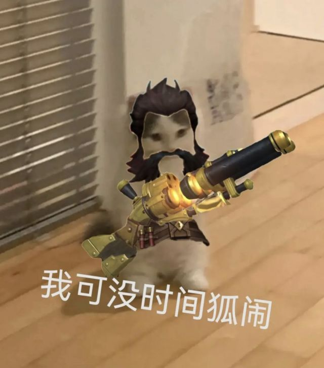 狐狸lol台词_lol狐狸_狐狸lol技能