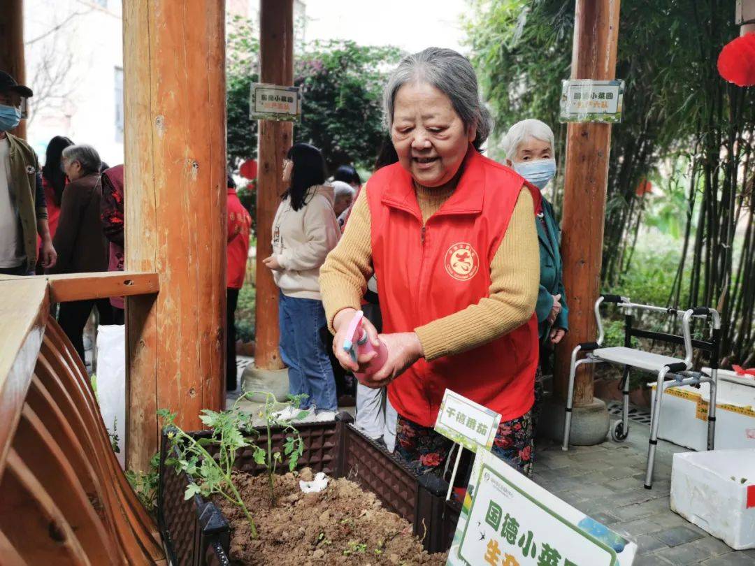 种菜偷菜小游戏_种地偷菜是什么游戏_种菜偷菜游戏小说