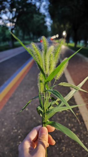 盛趣永恒之塔_盛大游戏永恒之塔_盛大永恒之塔官网