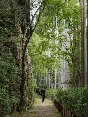 热血追踪小说_热血无赖跟踪师傅_热血无赖 跟踪