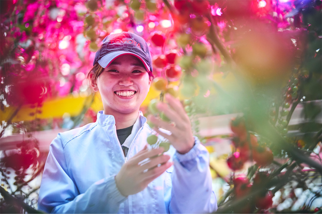 造梦西游3月兔技能_西游造梦技能月兔怎么得_造梦西游月兔怎么练