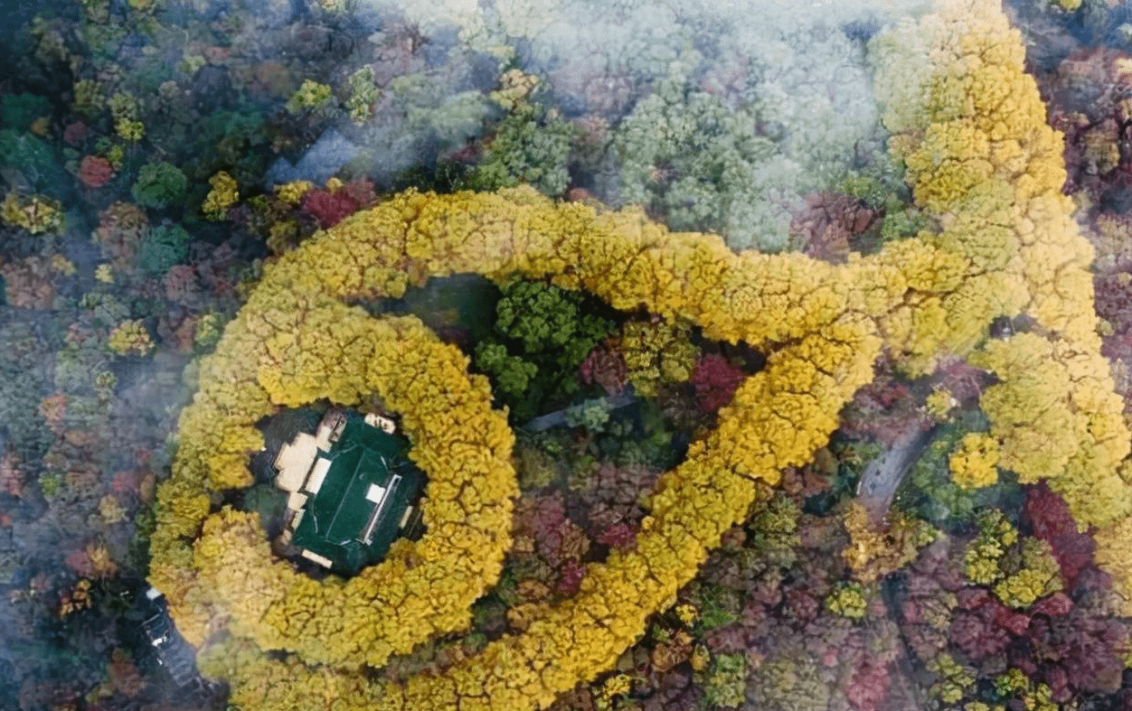 手游烈山加点_烈山加点_烈山技能怎么摆放