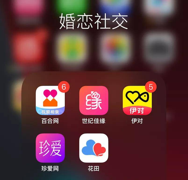 佳缘聊天版和信件版转换_佳缘聊吧下载_佳聊app诈骗