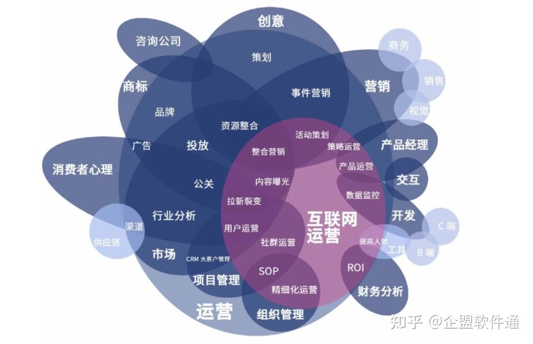 自媒体人的真诚与温馨：团队协作的力量与同行友谊