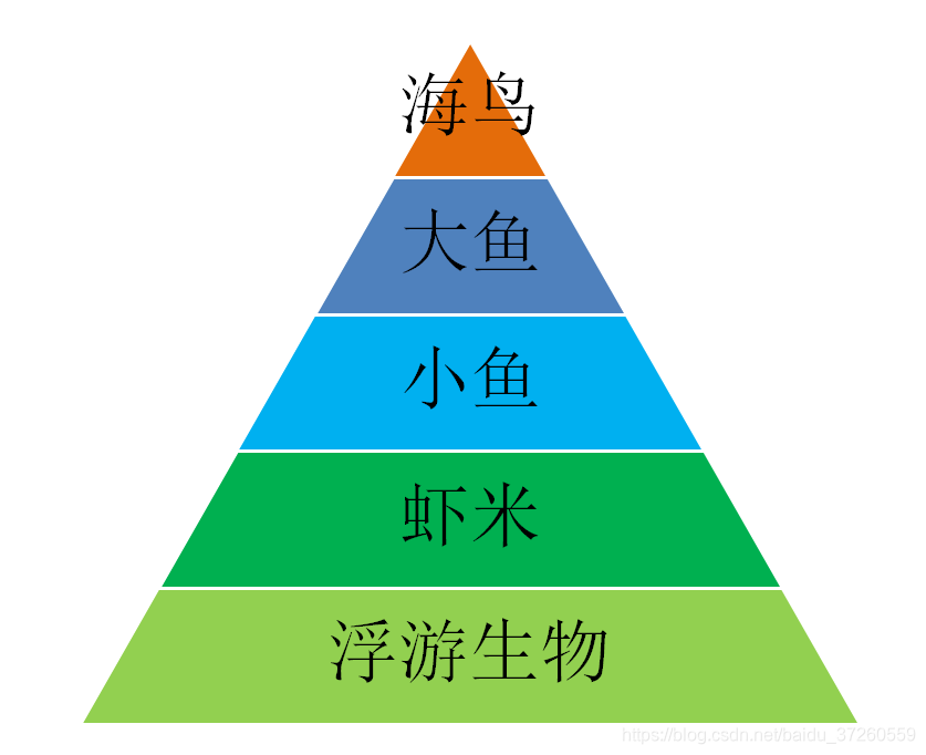 揭示进化版大鱼吃小鱼现象：速度与敏捷成为生存关键