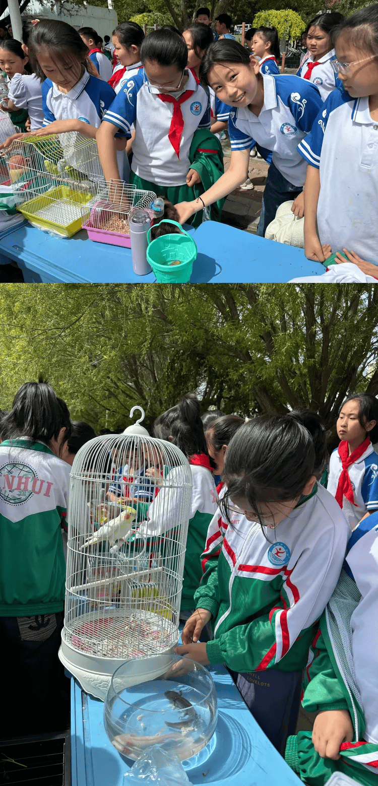 天书奇谈听海聆风_天书奇谈风越峡谷_天书奇谈风清月朗