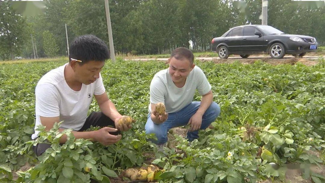 农场赚钱_农场种什么最赚钱_农场赚钱种地