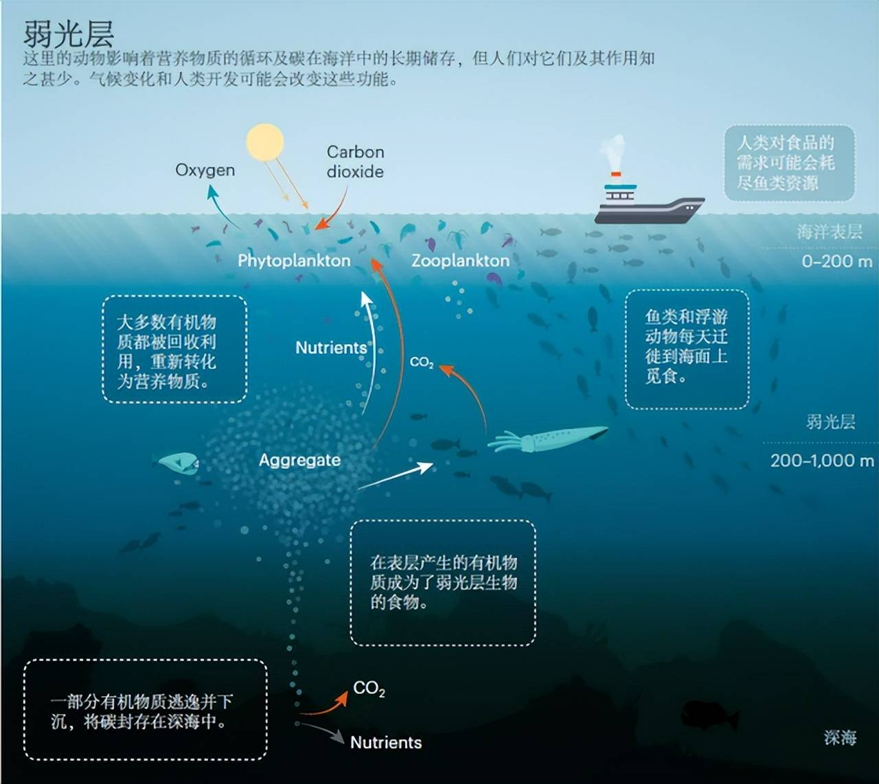 无尽冒险之旅_无尽冒险是什么_无尽的冒险走位