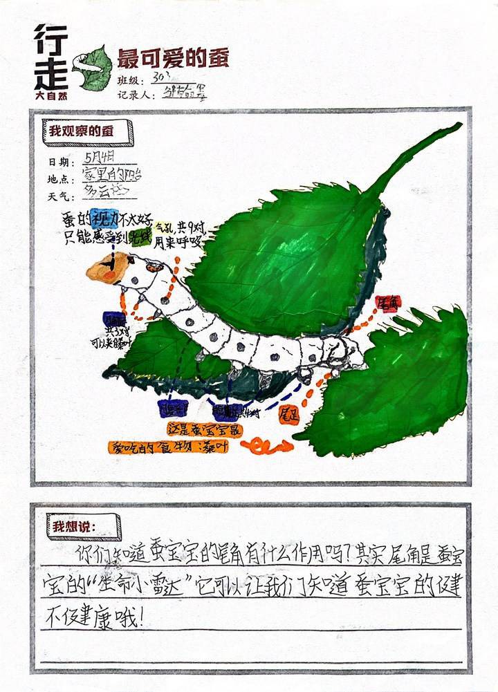 神之墓地密码_墓道密码_墓地谜题